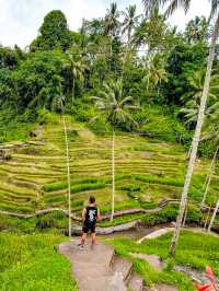 Exploring Ubud A Serene Escape into Bali