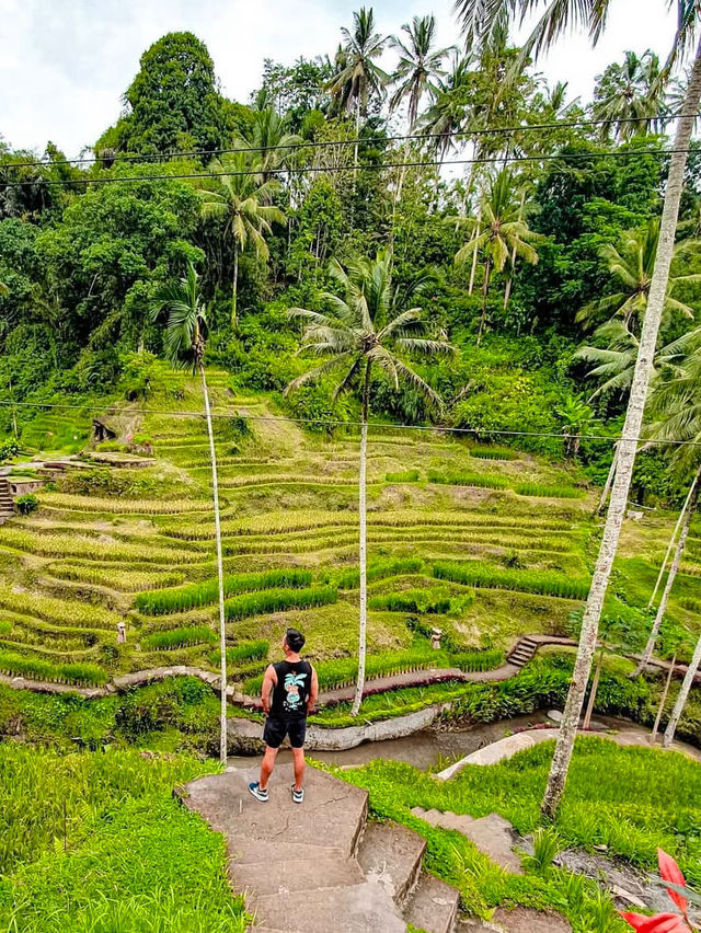 Exploring Ubud A Serene Escape into Bali