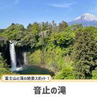 【静岡】ここだけは押さえたい人気観光スポット5選✨