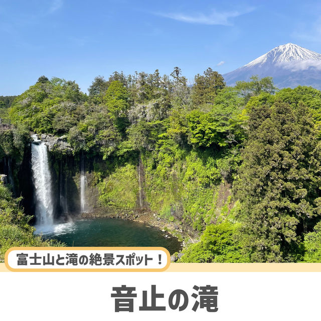 【静岡】ここだけは押さえたい人気観光スポット5選✨