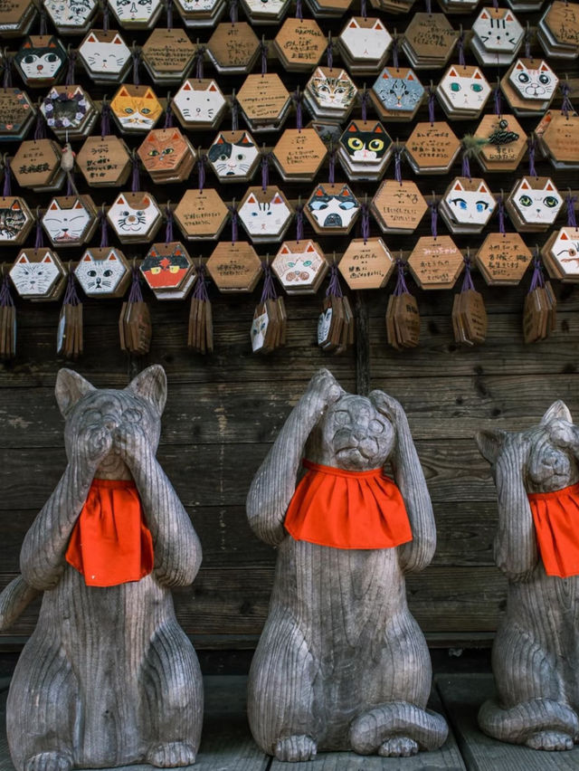 ✨ Hidden Gem: Yamaguchi 6-Day Trip Highlights ✨