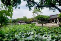 惠州悠閒
