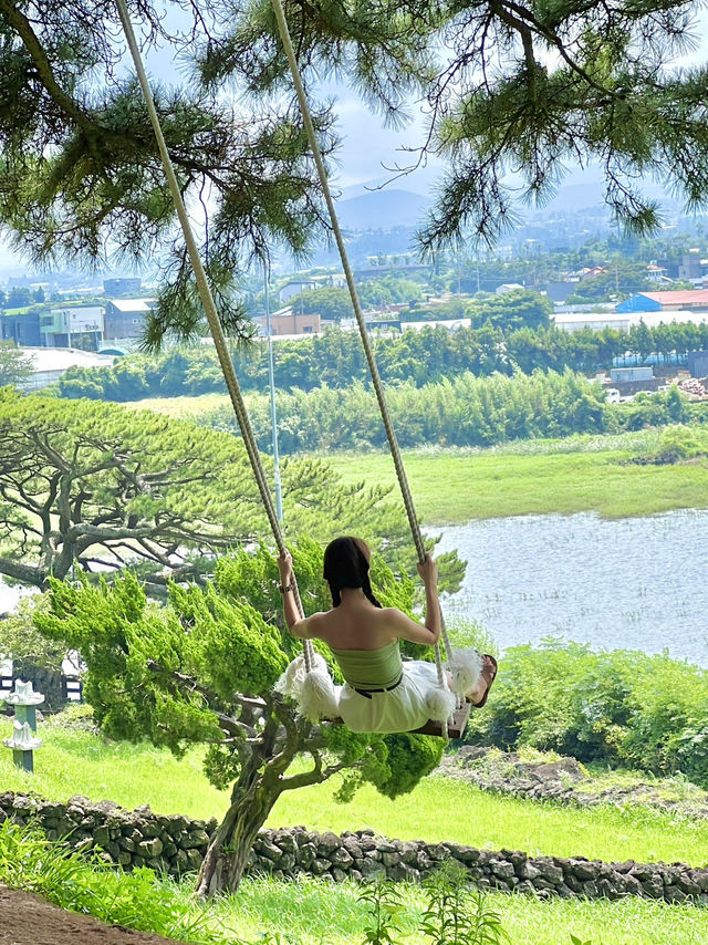 제주도 자연따라 여행하기 🌿