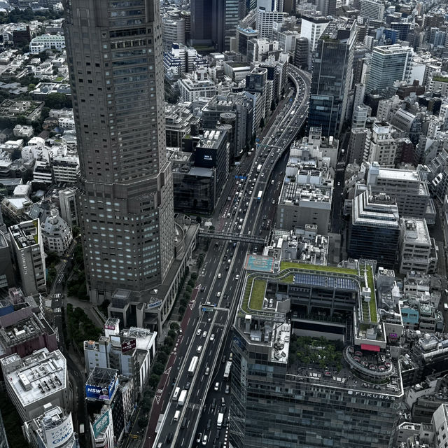 야경은 실패… 그래도 좋았던 시부야 스카이🏙️