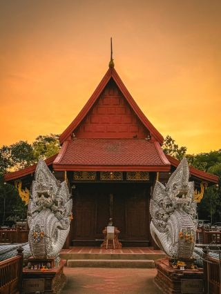 วัดป่าคลอง11