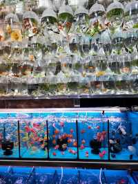 【香港】金魚街