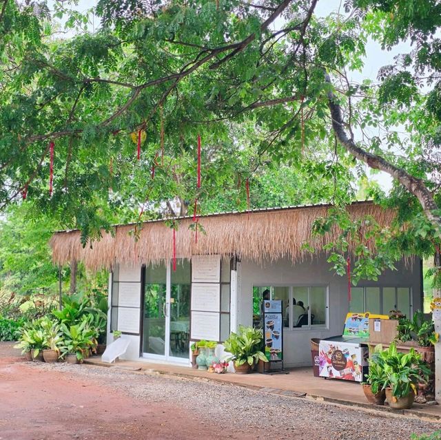 ร้านอาหารเหนือเมืองแปดริ้ว