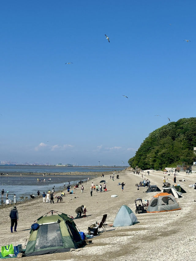 외국여행 느끼고 싶다면 여기가봐!