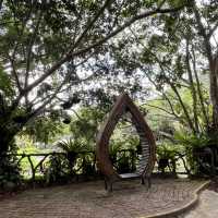 Immersed in Nature: Exploring Yanoda Rainforest in Hainan 