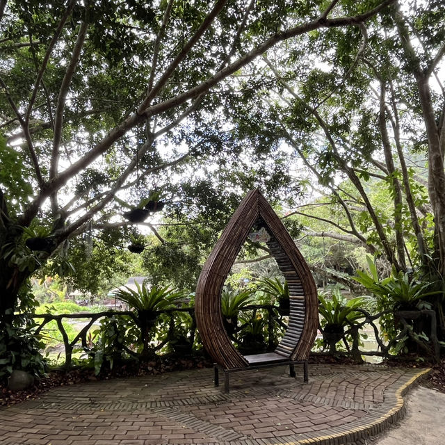 Immersed in Nature: Exploring Yanoda Rainforest in Hainan 