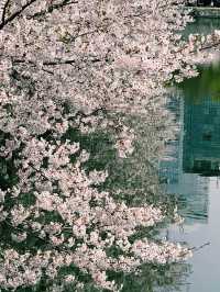 大阪交通攻略｜大阪城公園