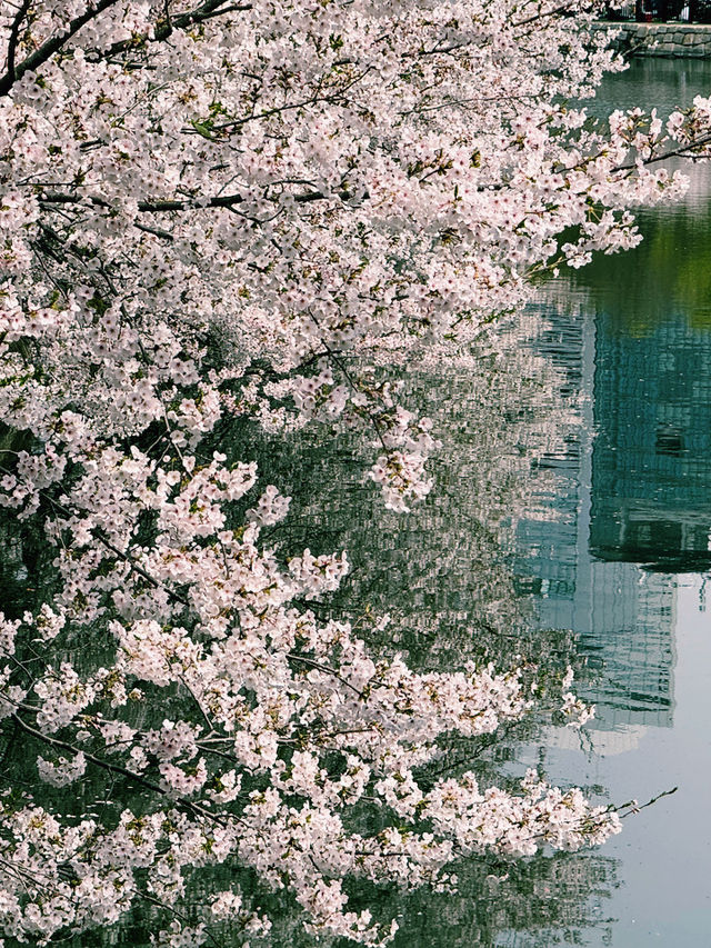 大阪交通攻略｜大阪城公園