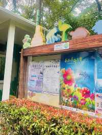 예쁜 풍경을 보며 산책하기 좋은 홍콩의 Fountain Terrace Garden 🌸