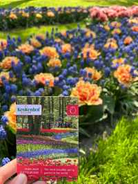 Title: Keukenhof – The Garden of Europe in Full Bloom