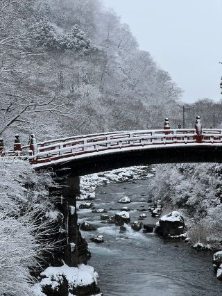 [日本]🌲「日光」山中世界遺產城市🏔️