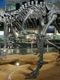 Fukui Prefectural Dinosaur Museum – Japan’s Jurassic Jewel