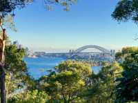 A Wild Day Out with the Kids: Taronga Zoo’s Best Views and Creatures