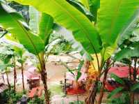 คาเฟ่เล็กกลางหุบเขา เชียงใหม่