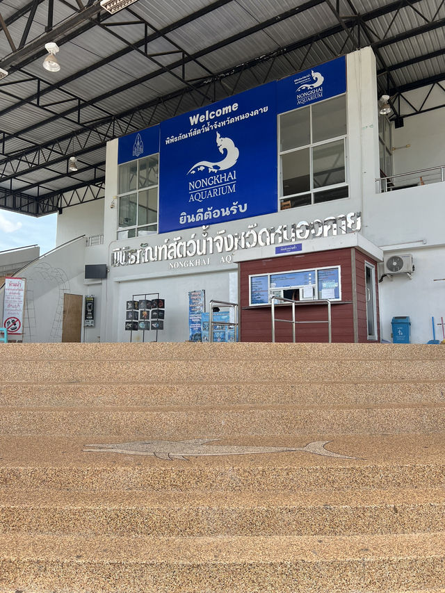 ไปดูปลากันที่ พิพิธภัณฑ์สัตว์น้ำจังหวัดหนองคาย 🐠