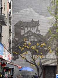 Fancy cutie street views in Chengdu