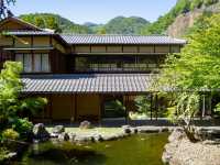 Nagano’s Hidden Blossom Treasure: Takato Castle Ruins