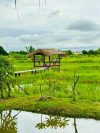 Phanumas Longstay & Resort – A Serene Garden Escape in Chiang Mai