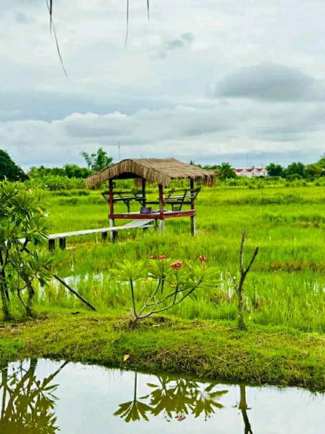 Phanumas Longstay & Resort – A Serene Garden Escape in Chiang Mai