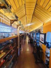 The Wonderful attraction in Gyeonggi-do 