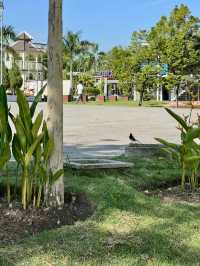 A Floral Stroll and Mirror-Like Views in Putrajaya