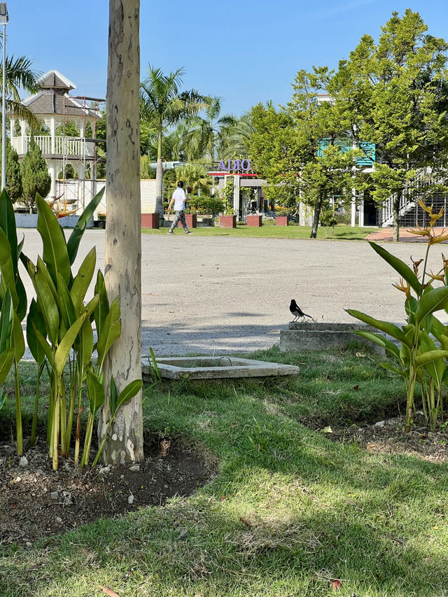 A Floral Stroll and Mirror-Like Views in Putrajaya