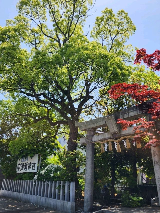 【山口グルメ】ボスティカフェ、中津瀬神社