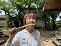 【久米島】サトウキビをかじる!? 黒糖づくり体験が最高だった🌿🍬