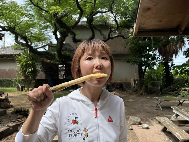 【久米島】サトウキビをかじる!? 黒糖づくり体験が最高だった🌿🍬