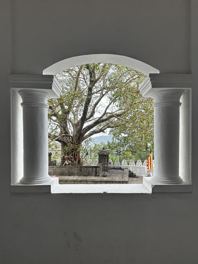 🇱🇰 ダンブッラ石窟寺院
