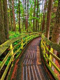 Pacific Spirit Regional Park – Vancouver’s Wild Coastal Forest