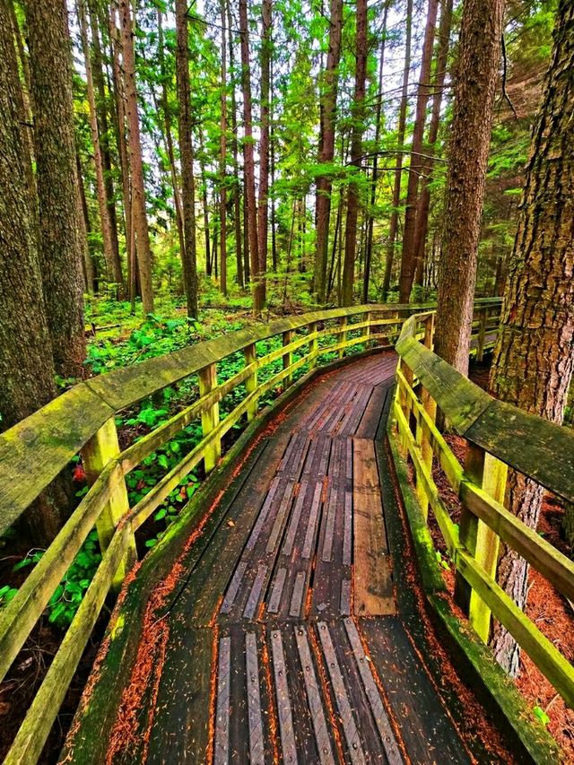 Pacific Spirit Regional Park – Vancouver’s Wild Coastal Forest