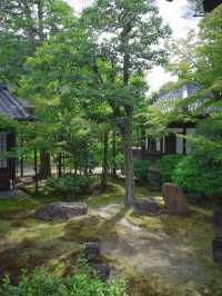 【行く前にこれ見て】禅の境地へ誘う翠の庭園！🌿🐉※周辺観光情報付 