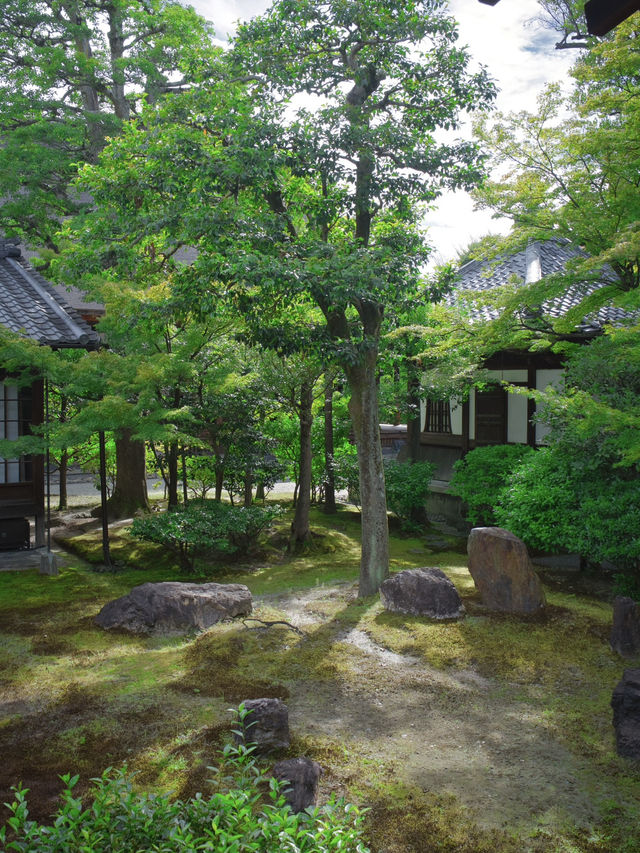 【行く前にこれ見て】禅の境地へ誘う翠の庭園！🌿🐉※周辺観光情報付 