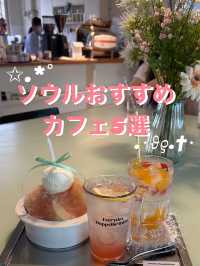 ソウルのおすすめカフェ5選🎀【江南・龍山・景福宮・弘大・狎鴎亭】