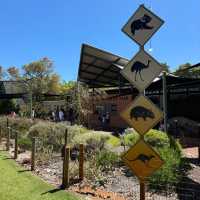 Wildlife Wonders at Caversham