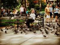 Washington Square : Heart with a Soul