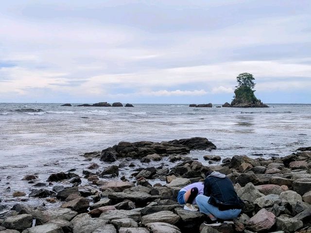 富山 | 雨晴海岸，冰見線上的壯闊海景。