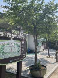 인천 문학산(217m) 등산, 여행 장소로 추천해요 :)
