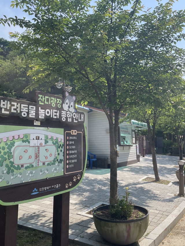 인천 문학산(217m) 등산, 여행 장소로 추천해요 :)