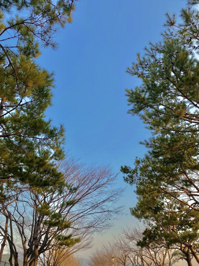 부산으로 떠난 힐링여행, 광안리부터 다대포까지