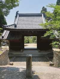 【兵庫/西宮】神を呪う寺…⛩️？！