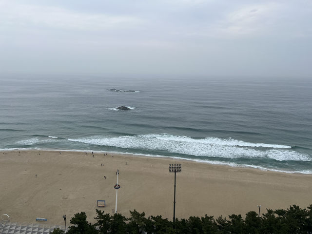 경포 바다뷰 스카이베이 호텔