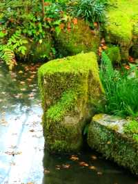 Sanzen-in – A Hidden Temple Garden in the Hills of Ohara