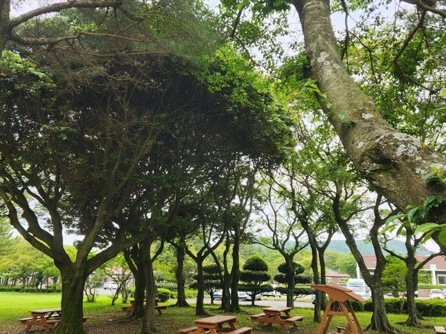 제주 목장 투어 - 마사회 제주 목장 (경주마 교배지)
