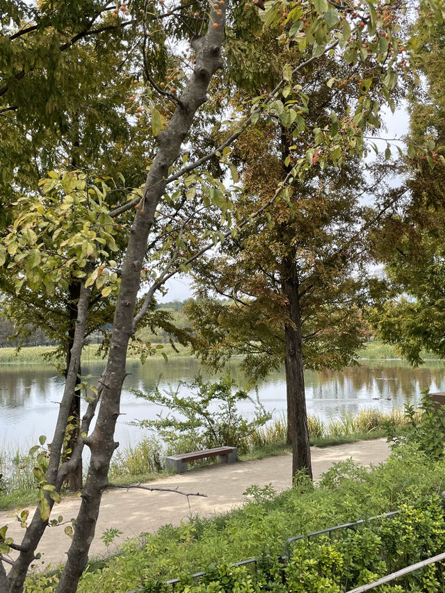 🌿 도심 속 힐링, 수원 일월수목원